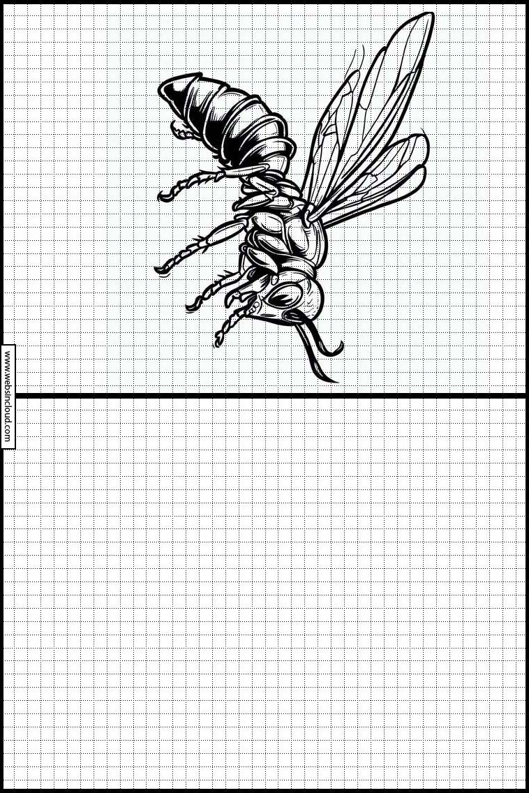 Wespen - Dieren 1