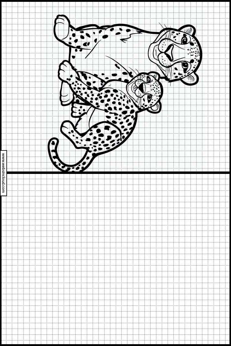 Cheetahs - Animals 3