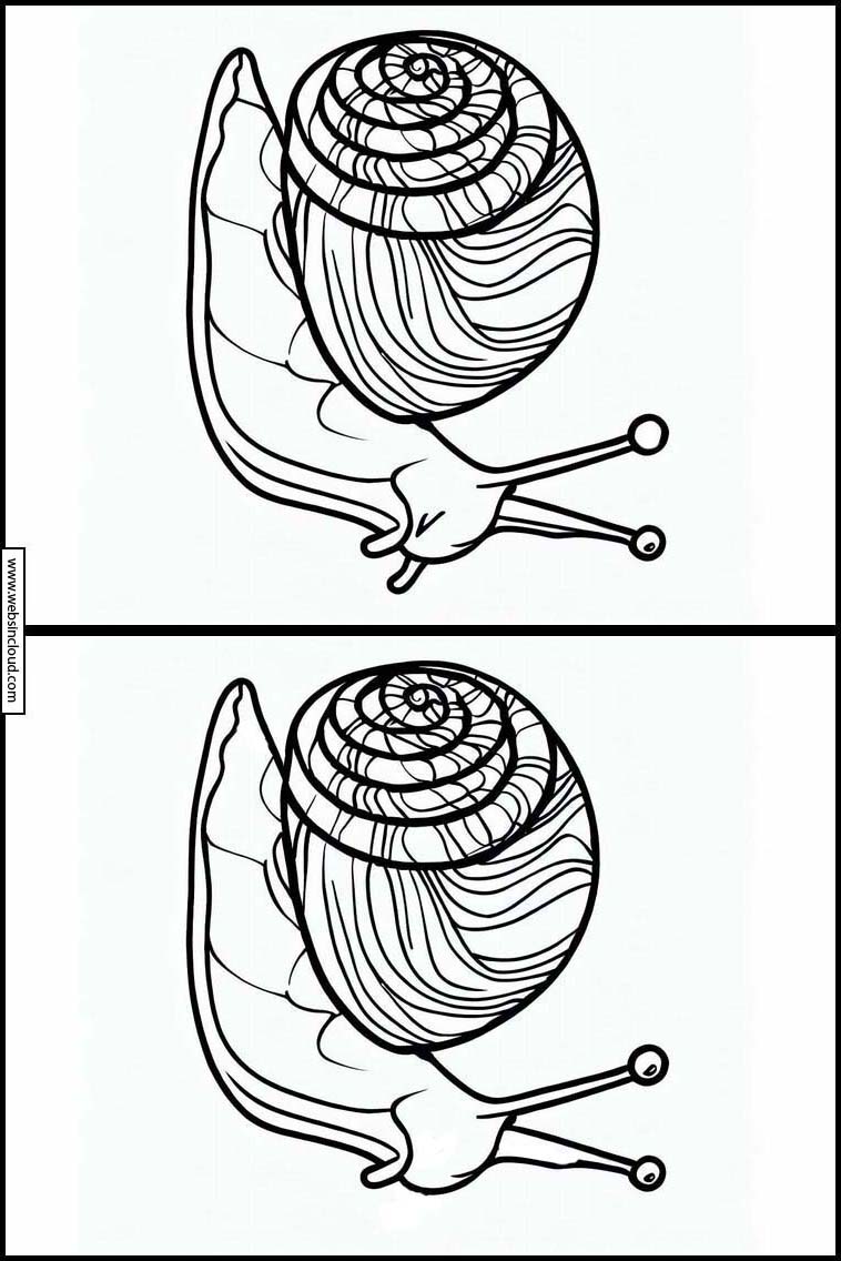 달팽이 - 동물 3