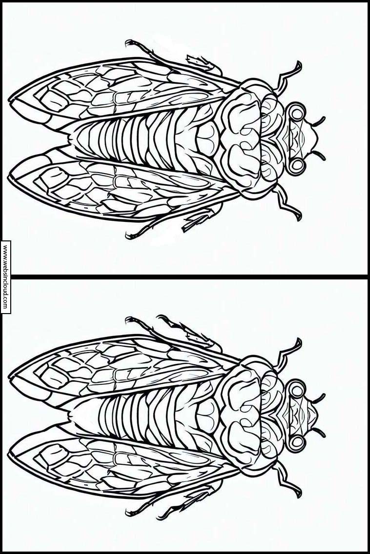 Mga Cicada 1