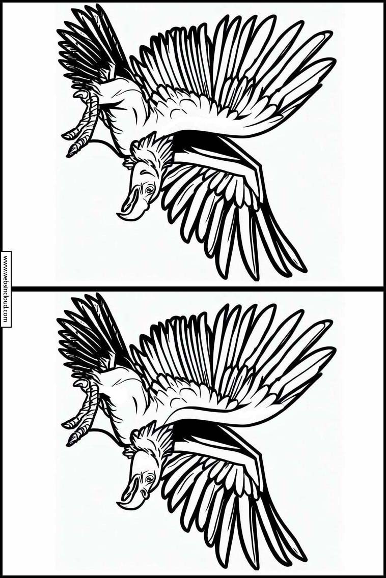 コンドル - 動物 2