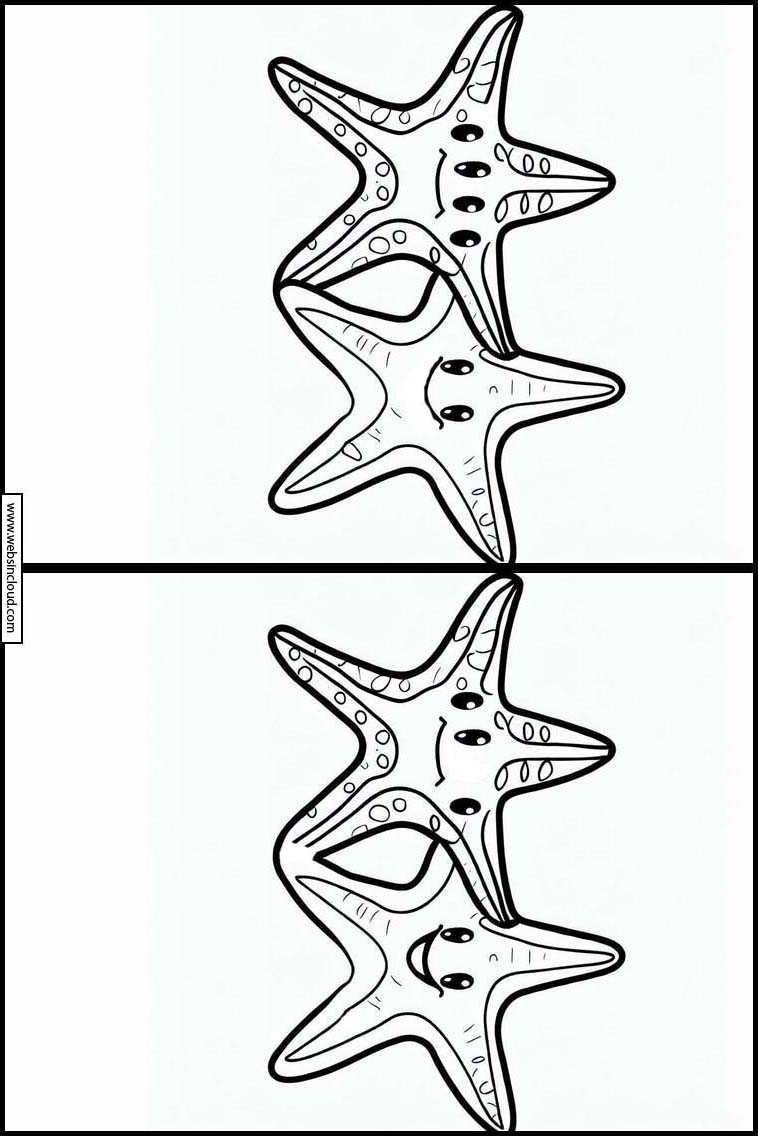 Sjöstjärnor - Djur 3