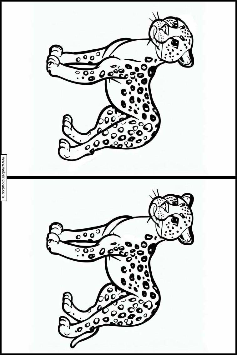 Cheetahs - Animals 2