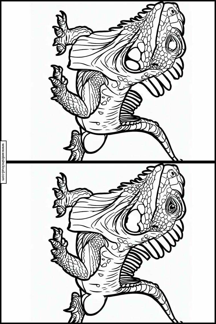 Leguane - Tiere 2