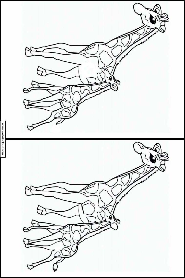 Giraffen - Dieren 4