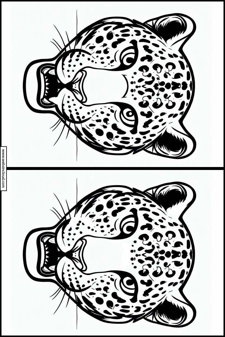 Leopardos - Animales 3