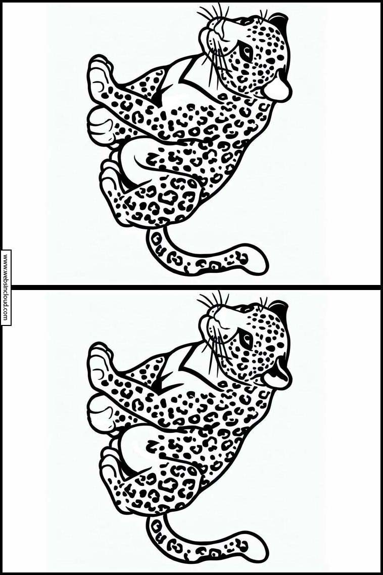 Leopardos - Animales 5