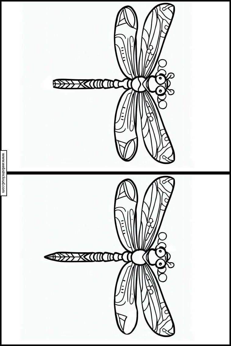 Libellen - Tiere 1