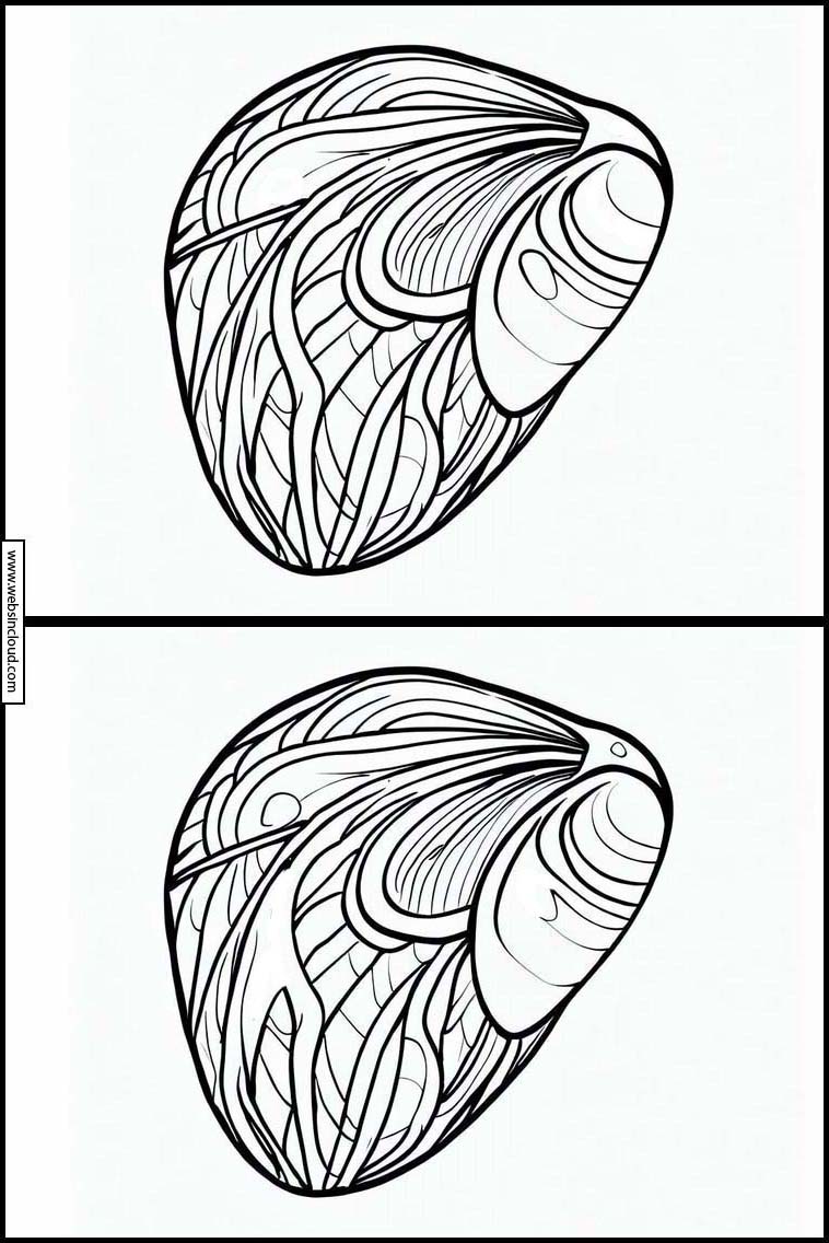 Moules - Animaux 2