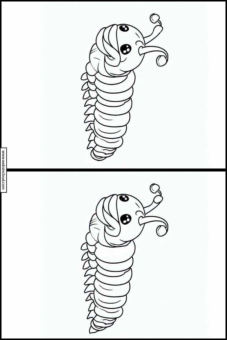 Rupsen - Dieren 4