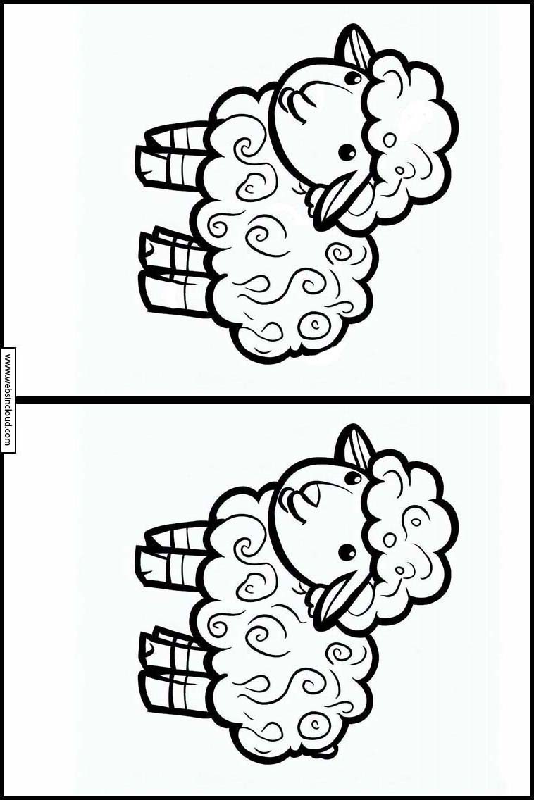 Sheep - Animals 3