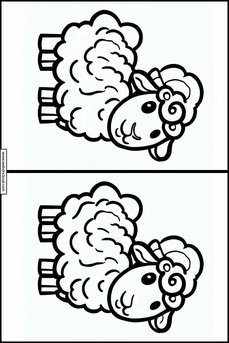 Schapen - Dieren 5