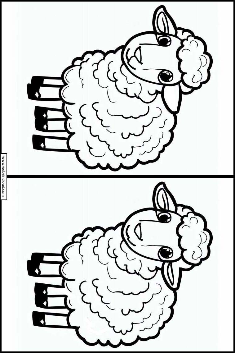 Sheep - Animals 7