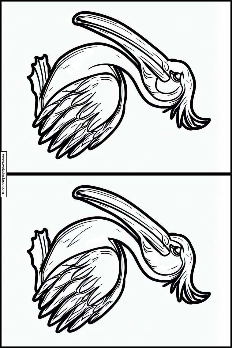 Пеликаны - Животные 4
