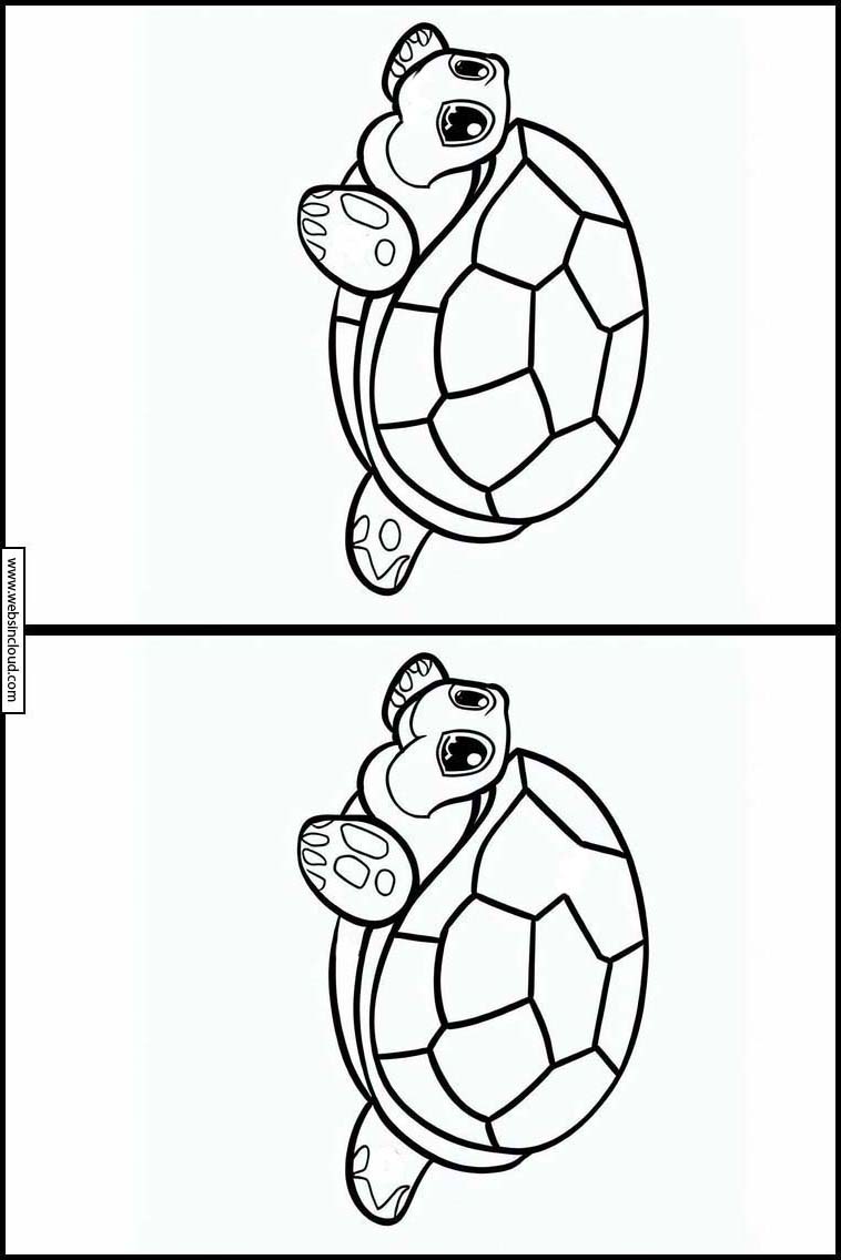 Tortugas - Animales 4