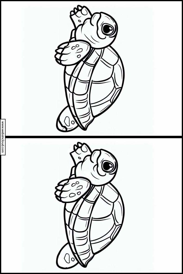 Turtles - Animals 5