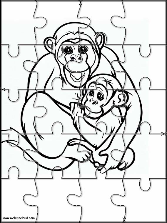 Chimpances - Animales 1