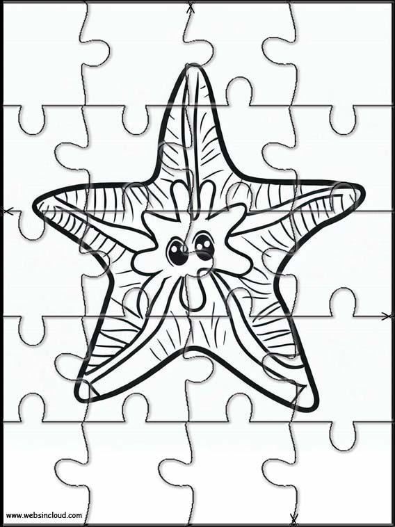 Starfish - Animals 1