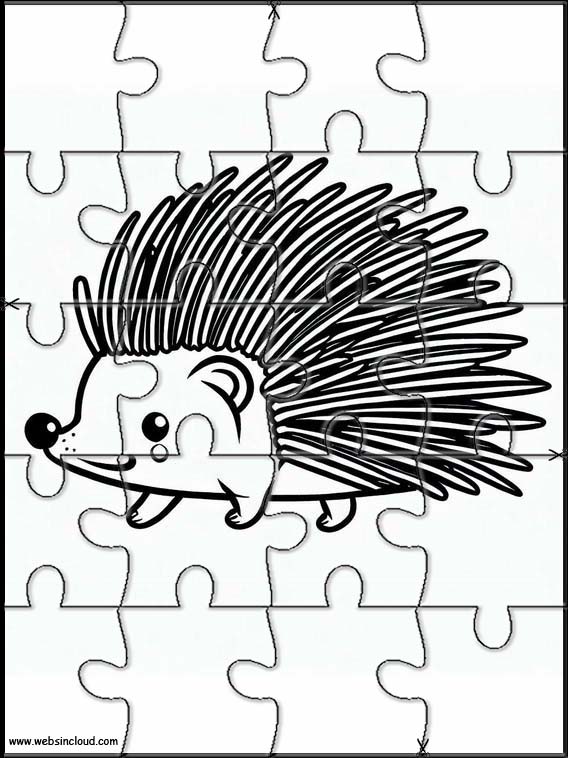 Porcupines - Animals 4