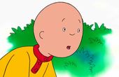 Caillou 