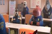 Zootopia - Zootropolis 