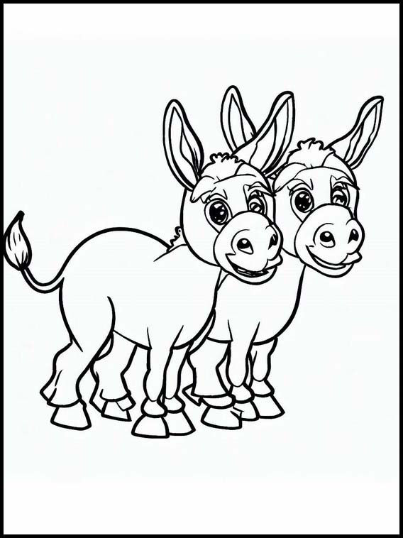 Donkeys - Animals 3