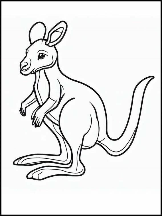 Kangaroos - Animals 1