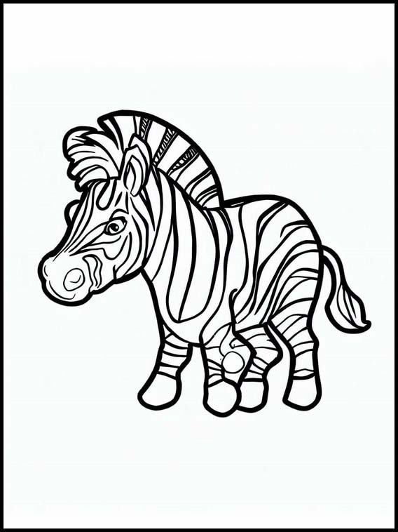 Zebre 3