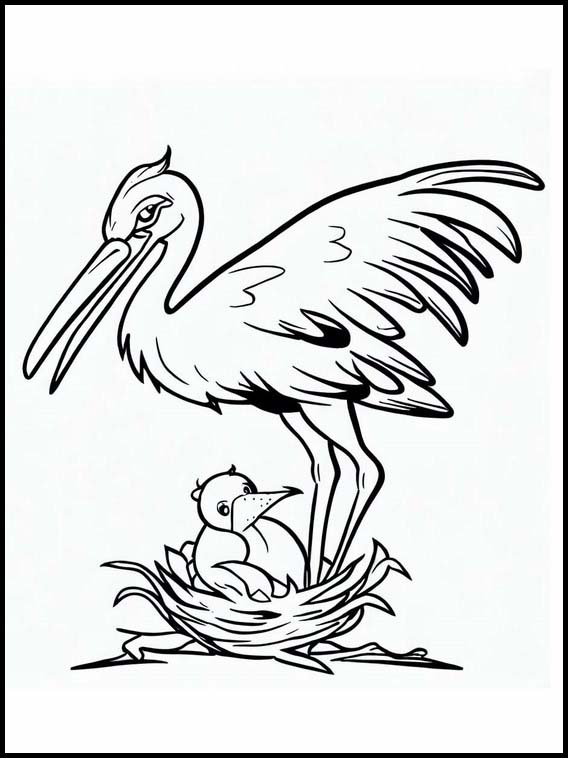 Storks - Animals 2