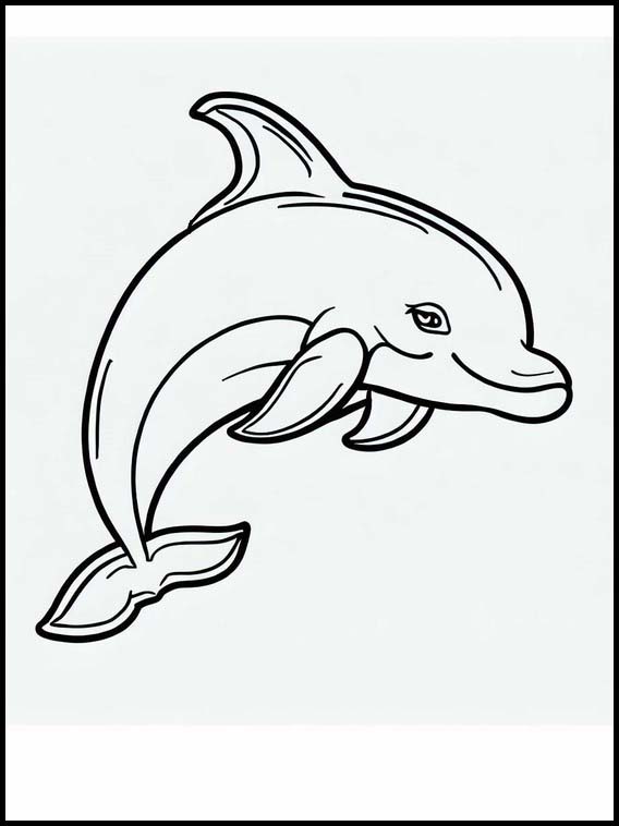 Delfines - Animales 3