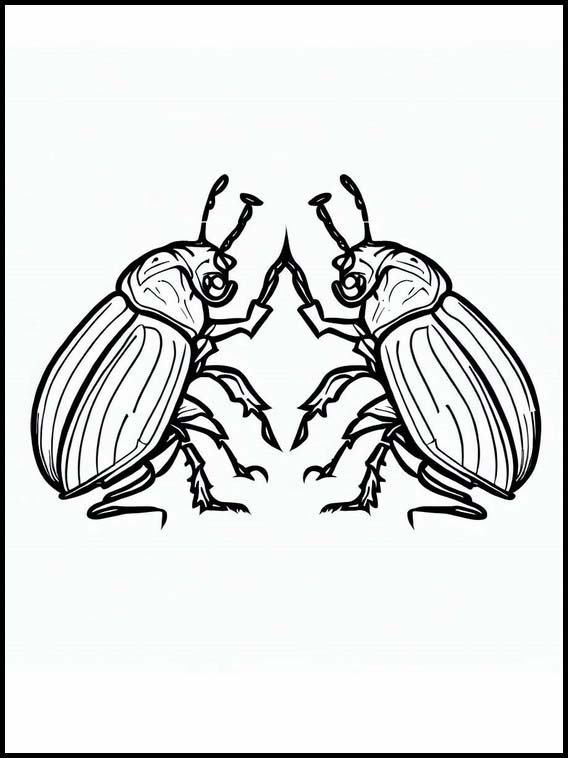 Beetles - Animals 3