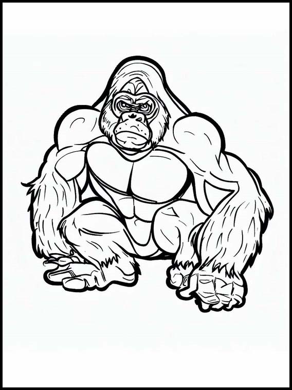 Gorilla - Dyr 2