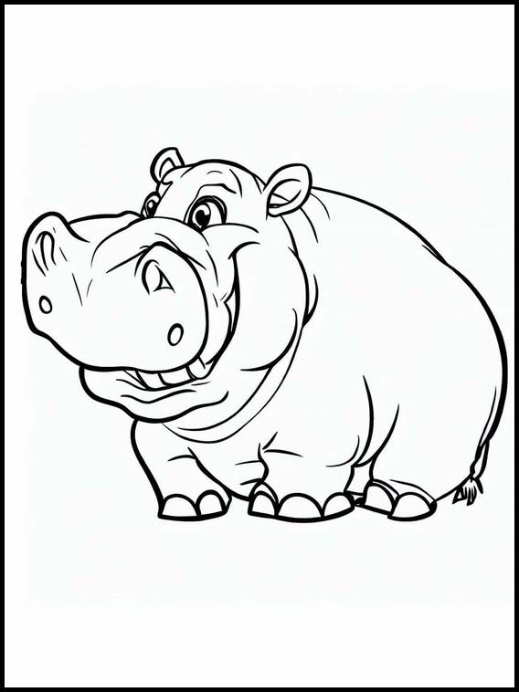 Hippopotamus 3