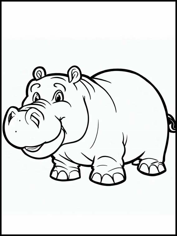 Hippopotamus 4