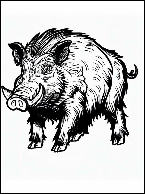 Wild Boar - Animals 2