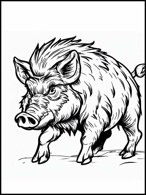 Wild Boar - Animals 3