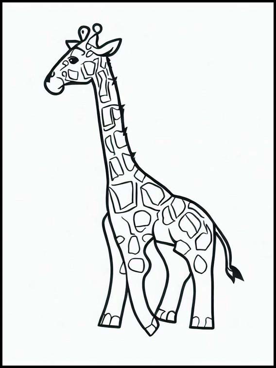 Girafe 1