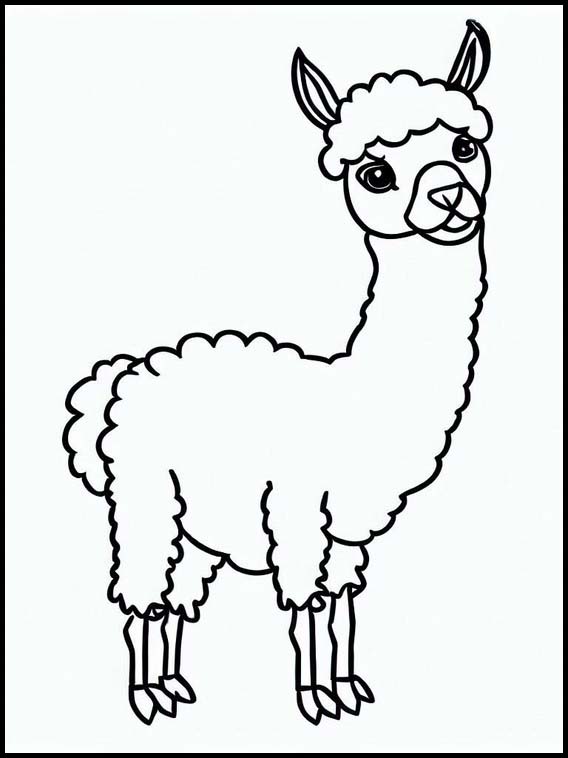 Llama 1