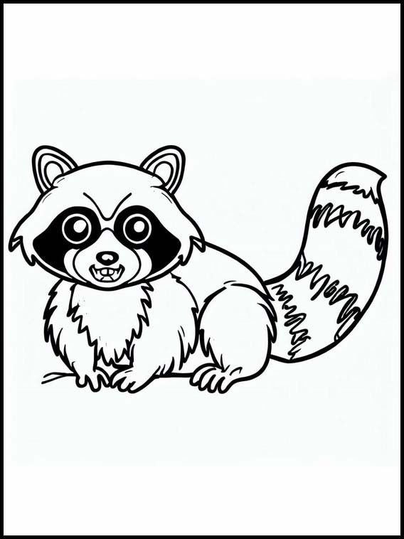 Raccoon 1