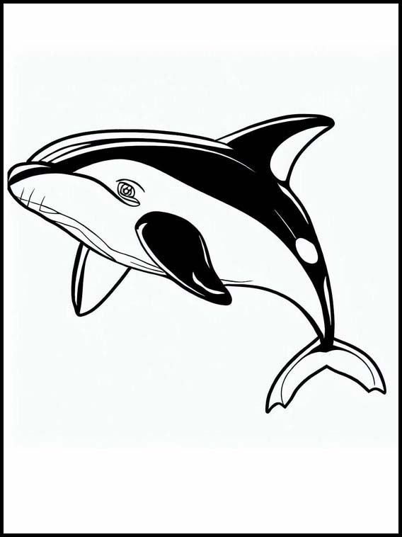 Orcas - Animals 1