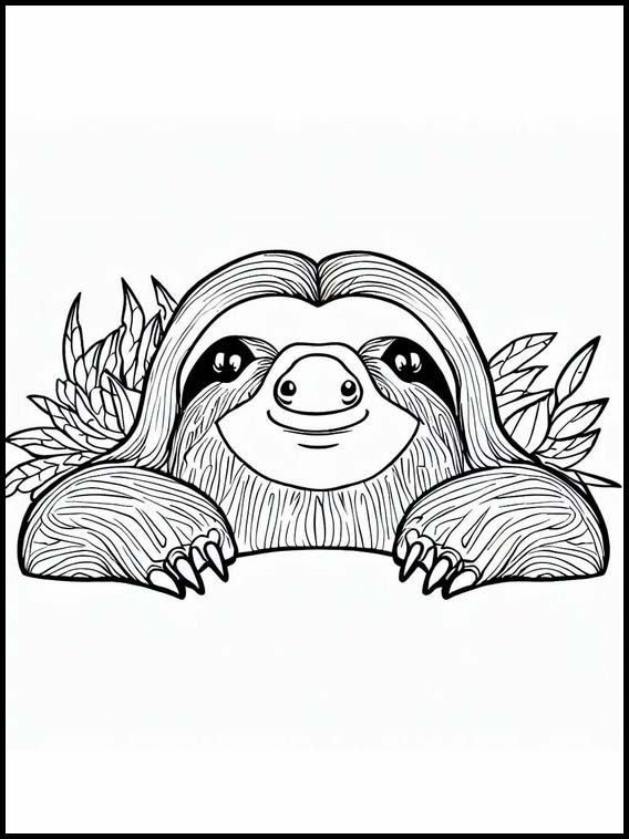 Sloths - Animals 4