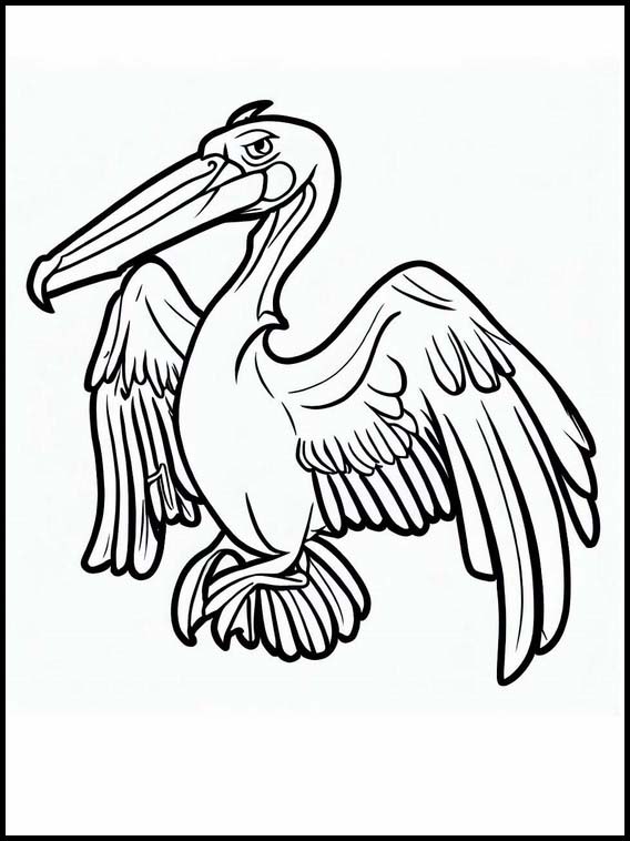 Pelicans - Animals 1