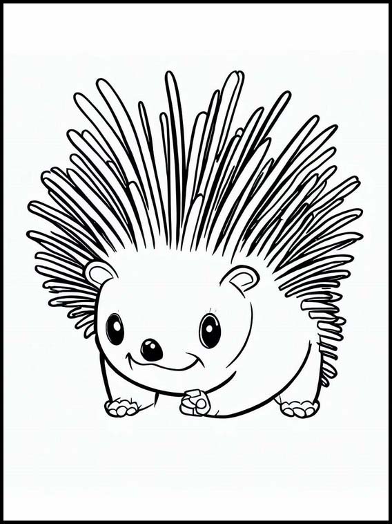 Porcupine 5