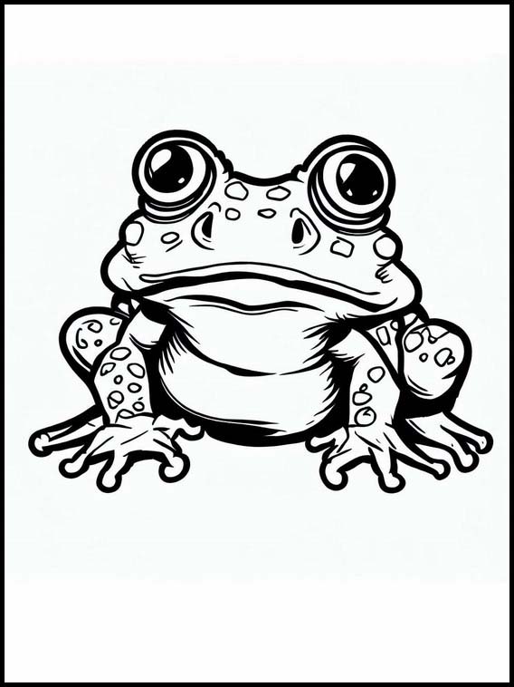 Toads - Animals 3