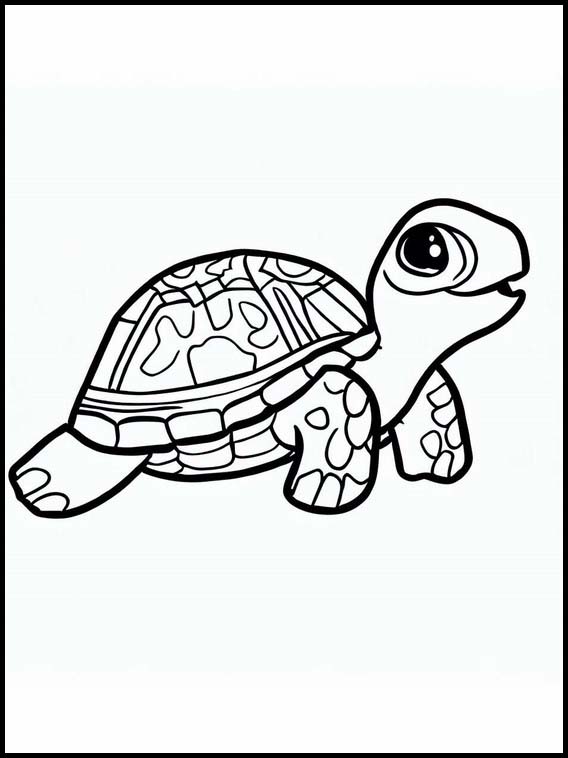 Tortugas - Animales 2