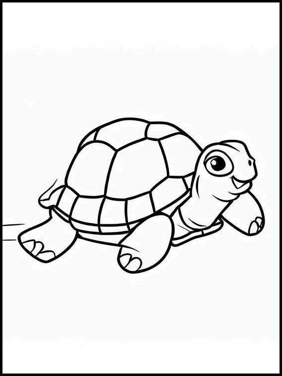 Turtles - Animals 3