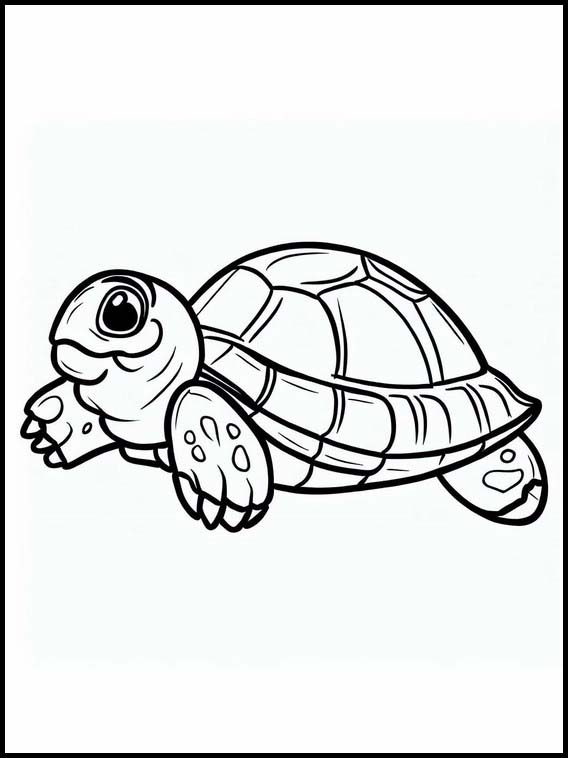 Turtles - Animals 5