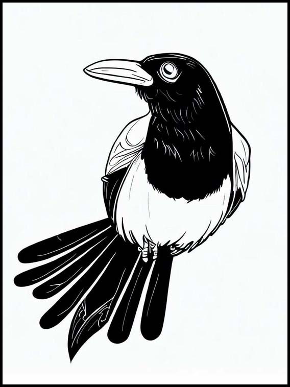 Magpies - Animals 2