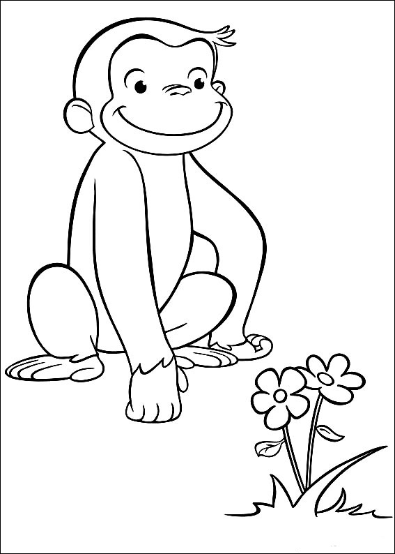 Curious George 43