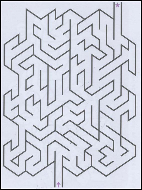 Labyrinthe 221